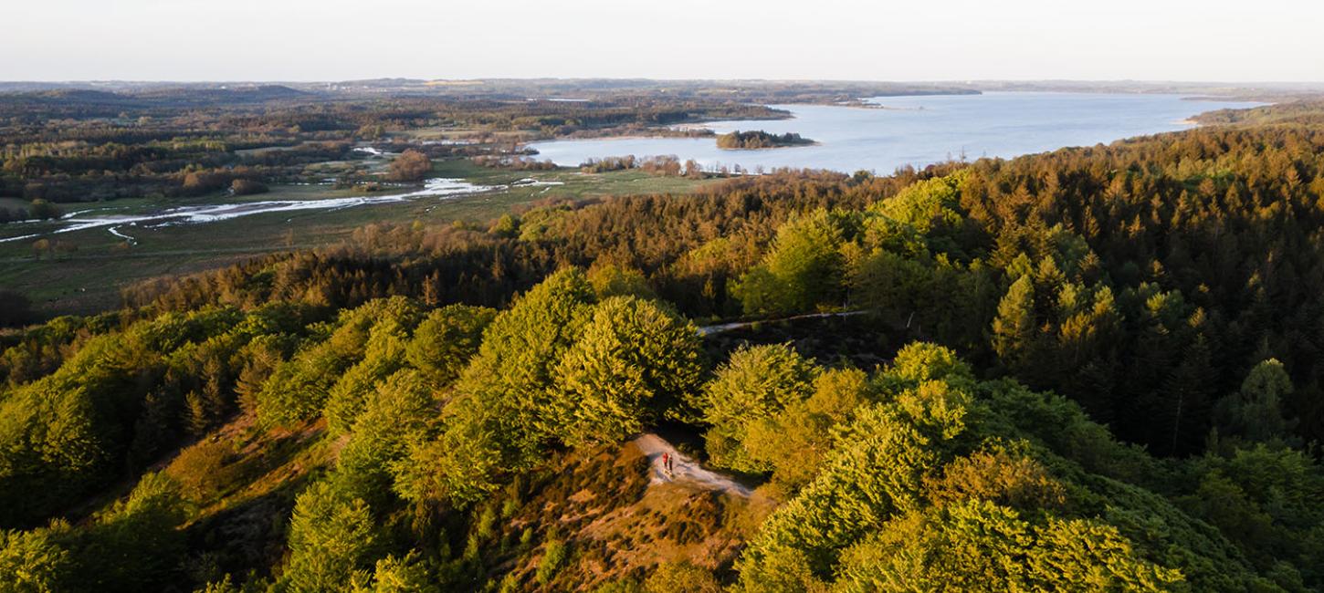 Danskerne Har Fået øjnene Op For, Hvad Danmark Har At Byde På | Dansk ...